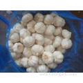 Different Sizes of Jinxiang Pure White Garlic
